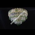 Катерина 3л. Крокус цветная